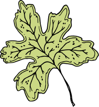 group (1) Illustration of a green leaf with veins