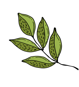 group Illustration of five green leaves in a circle